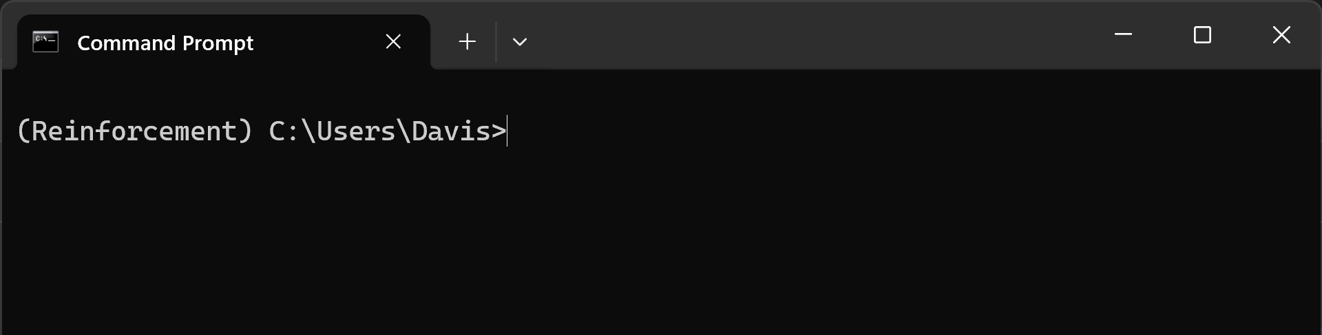 Terminal Prompt